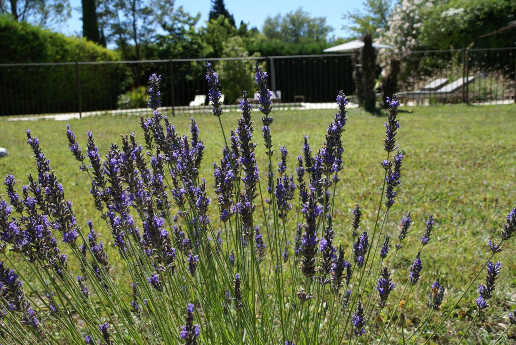 Cote Provence Hotel Le Thor Exterior photo